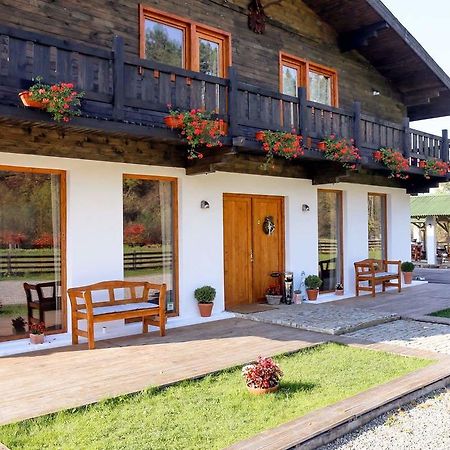 Landhaus Bed&Breakfast Viseu de Sus Ngoại thất bức ảnh