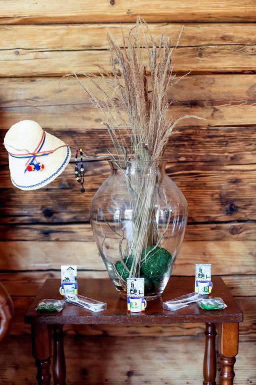 Landhaus Bed&Breakfast Viseu de Sus Ngoại thất bức ảnh