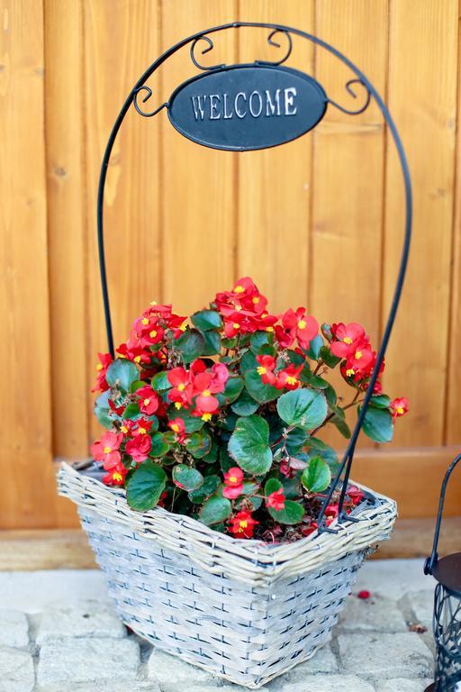 Landhaus Bed&Breakfast Viseu de Sus Ngoại thất bức ảnh
