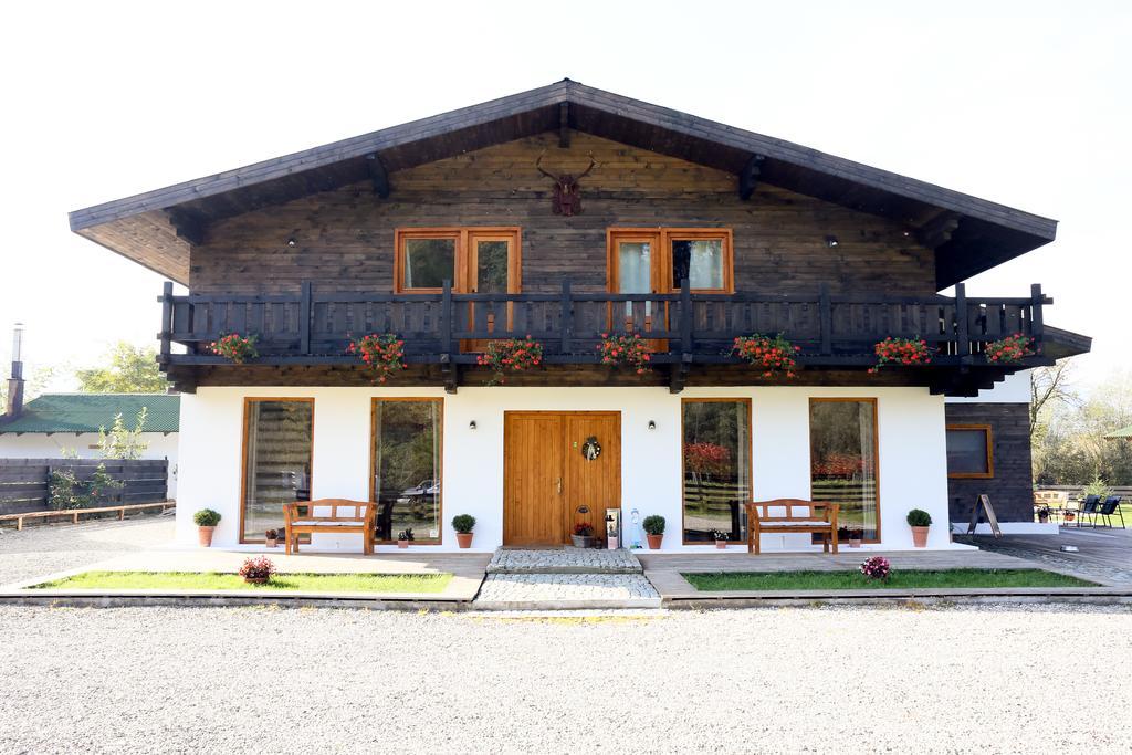 Landhaus Bed&Breakfast Viseu de Sus Ngoại thất bức ảnh